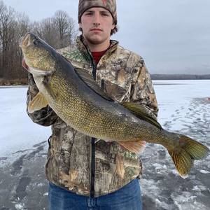 Meet your Posher, Austin